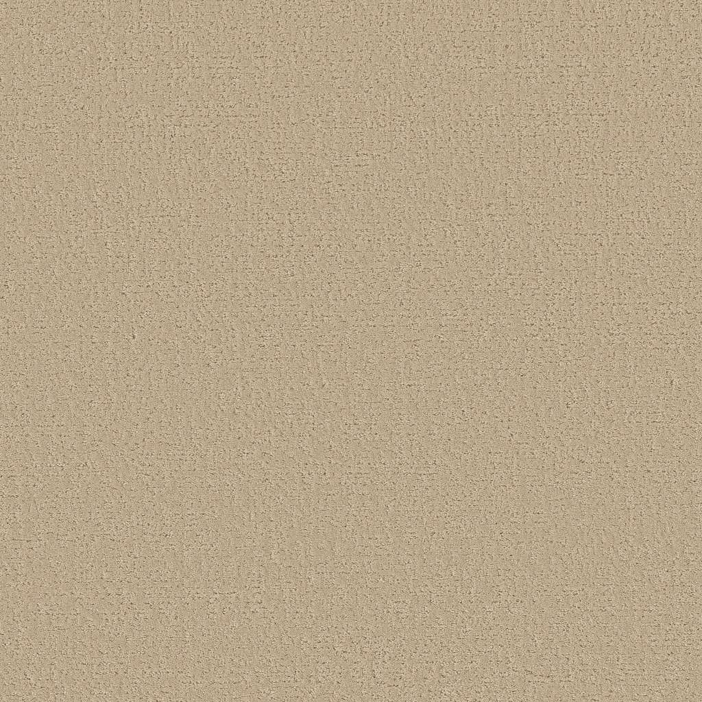 Colorwall - Canvas Comfort - Carpet Shaw Floors