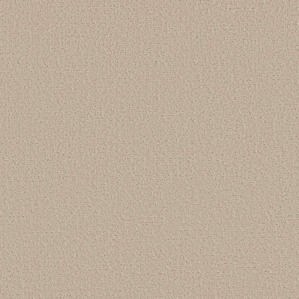 Colorwall - Canvas Comfort - Carpet Shaw Floors