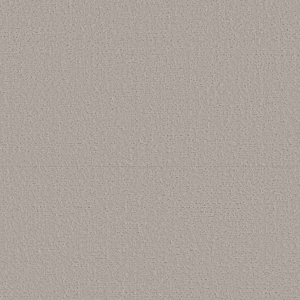 Colorwall - Canvas Comfort - Carpet Shaw Floors