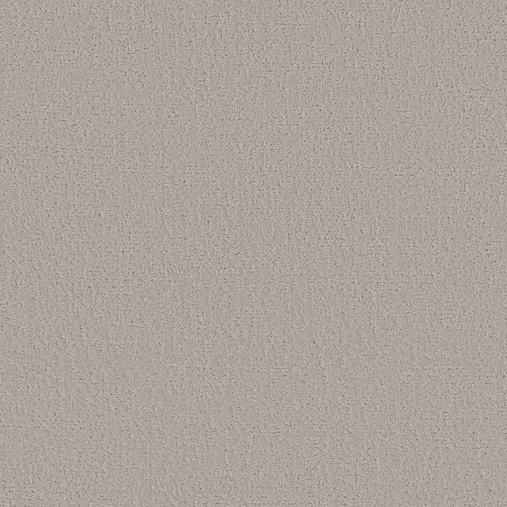 Colorwall - Canvas Comfort - Carpet Shaw Floors