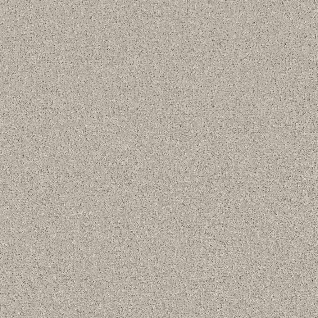 Colorwall - Canvas Comfort - Carpet Shaw Floors