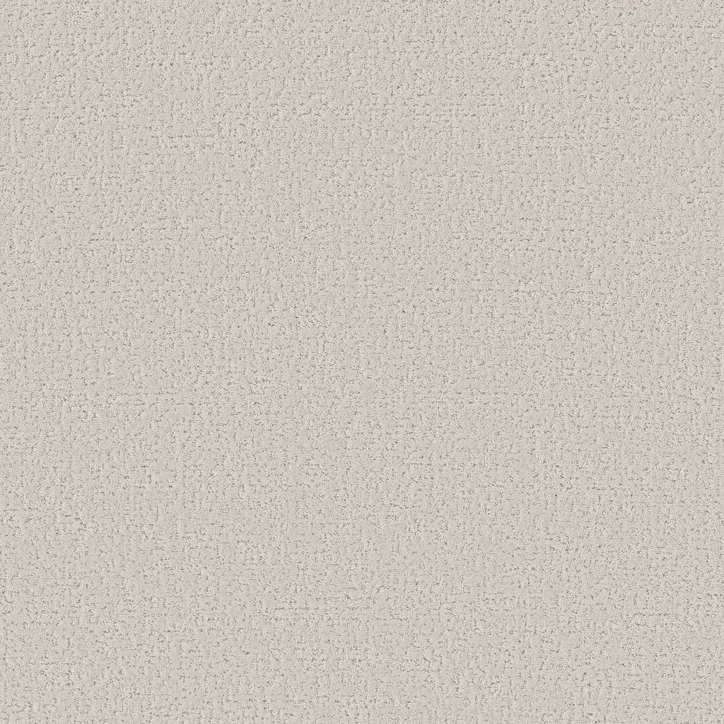 Colorwall - Canvas Comfort - Carpet Shaw Floors