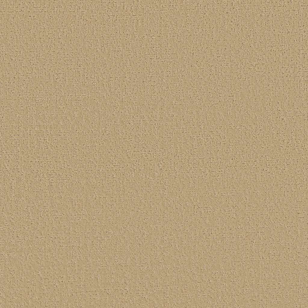 Colorwall - Canvas Comfort - Carpet Shaw Floors