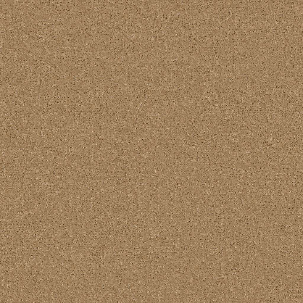 Colorwall - Canvas Comfort - Carpet Shaw Floors