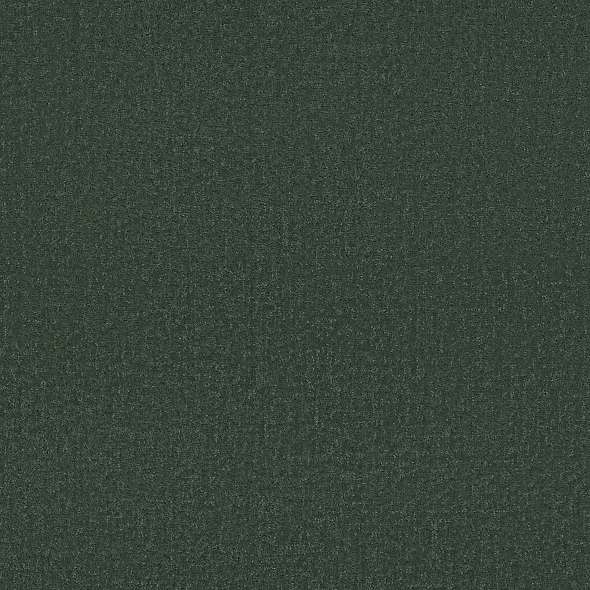 Colorwall - Canvas Comfort - Carpet Shaw Floors