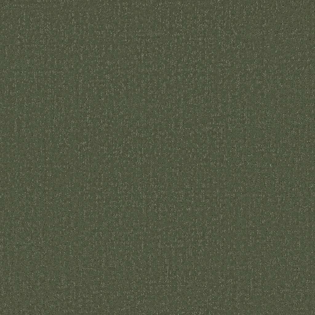 Colorwall - Canvas Comfort - Carpet Shaw Floors