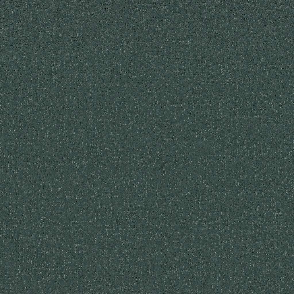 Colorwall - Canvas Comfort - Carpet Shaw Floors