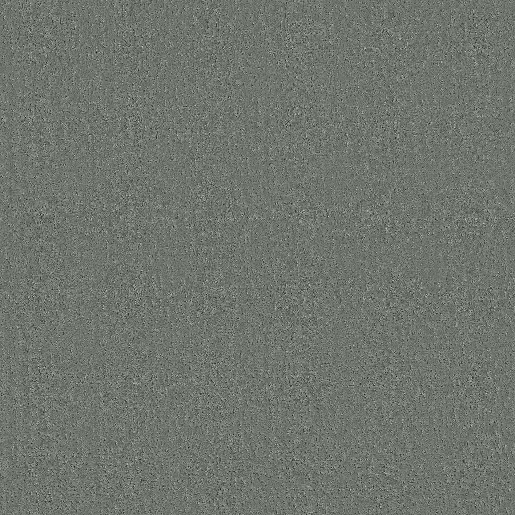 Colorwall - Canvas Comfort - Carpet Shaw Floors