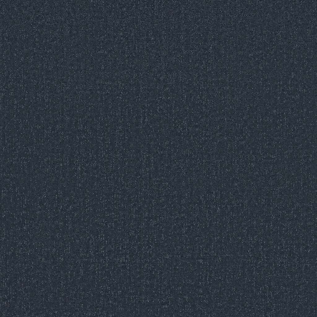 Colorwall - Canvas Comfort - Carpet Shaw Floors