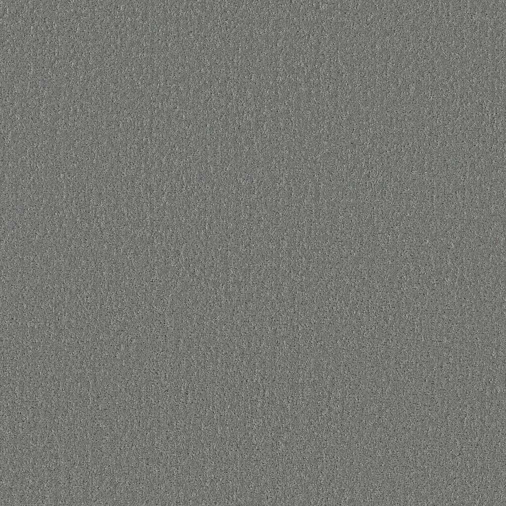 Colorwall - Canvas Comfort - Carpet Shaw Floors