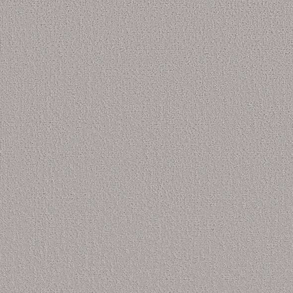 Colorwall - Canvas Comfort - Carpet Shaw Floors