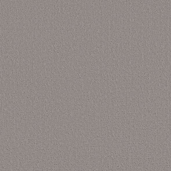 Colorwall - Canvas Comfort - Carpet Shaw Floors