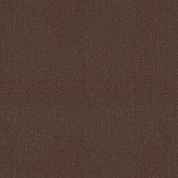 Colorwall - Canvas Comfort - Carpet Shaw Floors