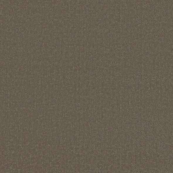 Colorwall - Canvas Comfort - Carpet Shaw Floors