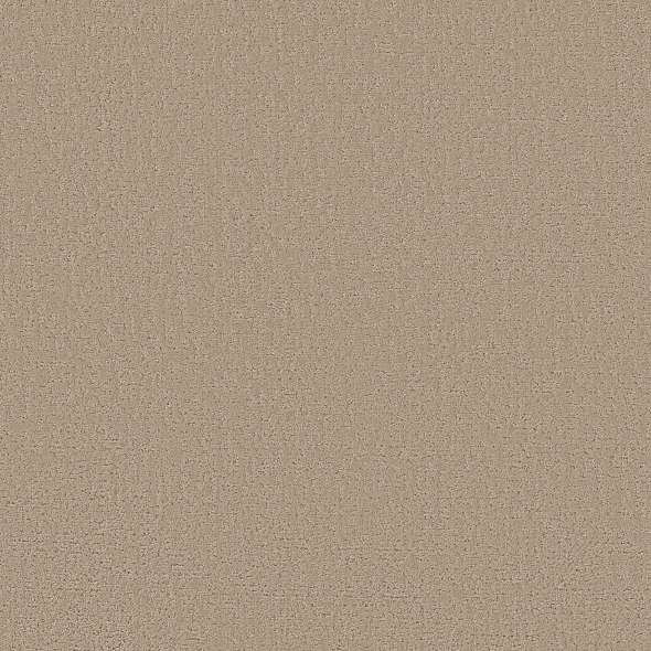 Colorwall - Canvas Comfort - Carpet Shaw Floors