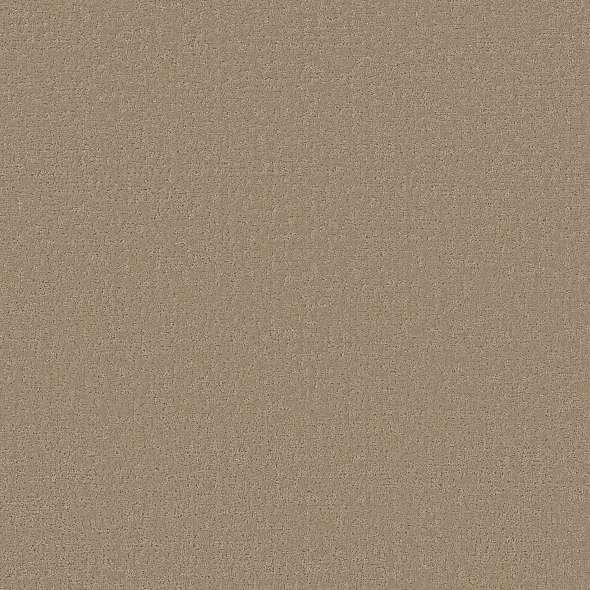 Colorwall - Canvas Comfort - Carpet Shaw Floors