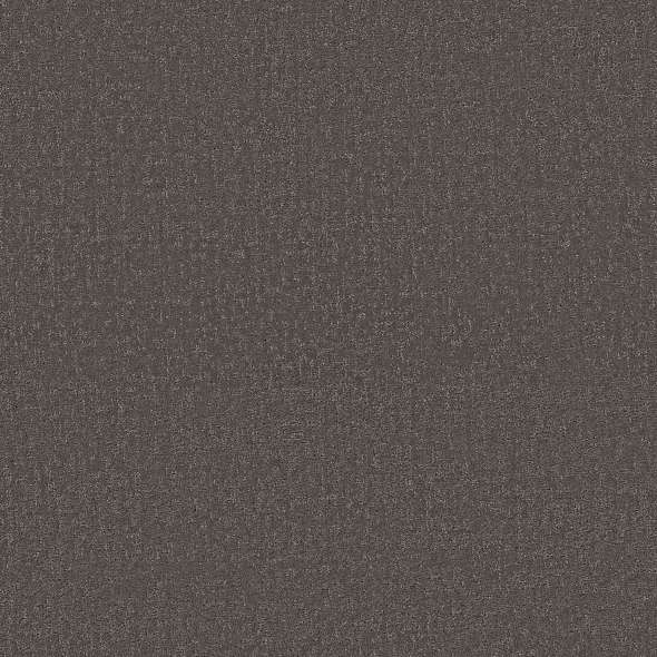 Colorwall - Canvas Comfort - Carpet Shaw Floors