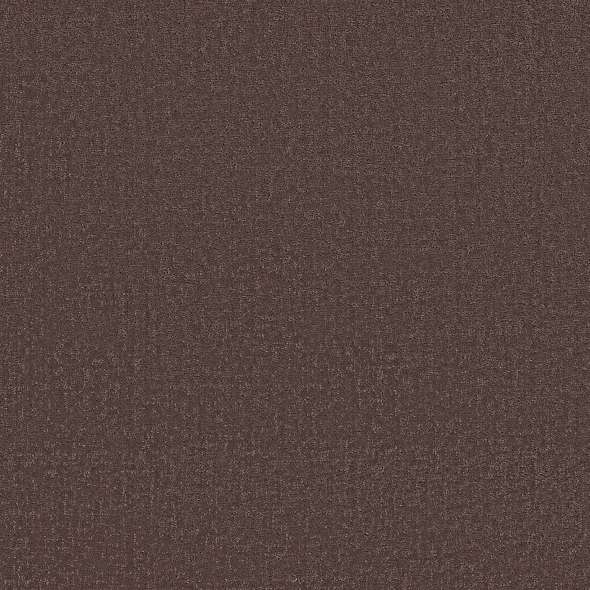 Colorwall - Canvas Comfort - Carpet Shaw Floors