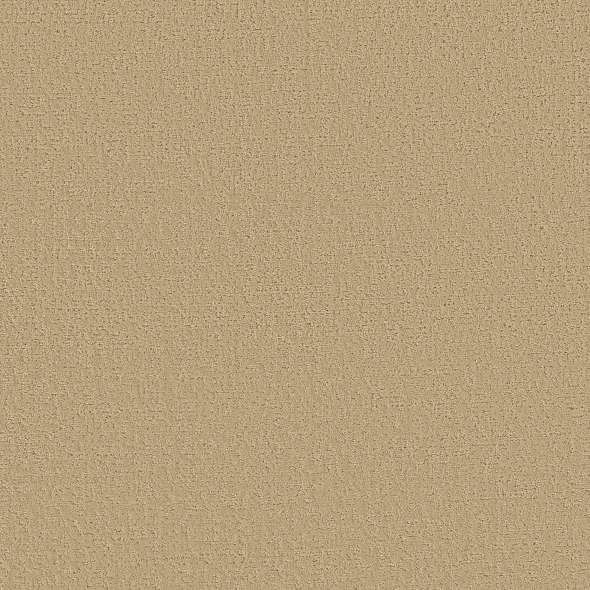 Colorwall - Canvas Comfort Blue - Carpet Shaw Floors