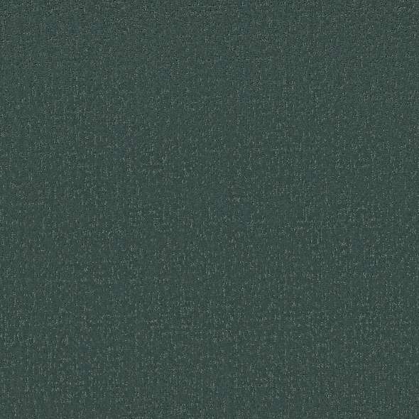 Colorwall - Canvas Comfort Blue - Carpet Shaw Floors