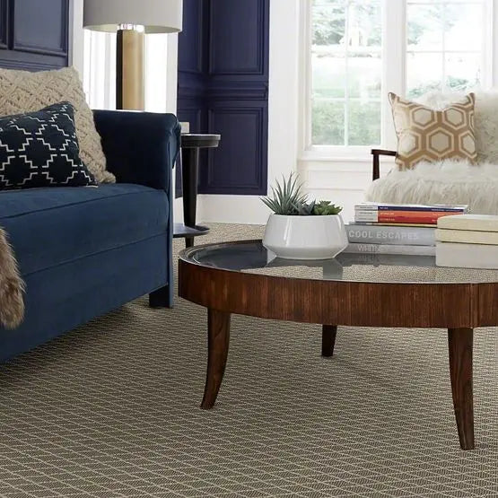 Pet Perfect - Springer's Point - Carpet Anderson Tuftex