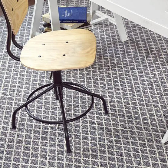 Pet Perfect - Springer's Point - Carpet Anderson Tuftex