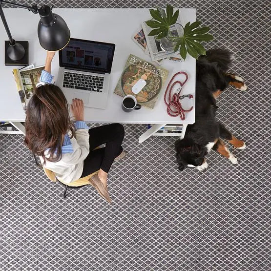 Pet Perfect - Springer's Point - Carpet Anderson Tuftex