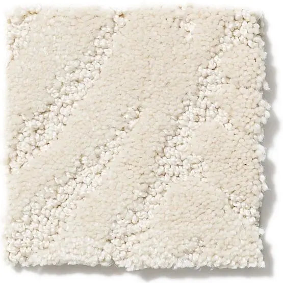 Pet Perfect - First In Class - Carpet Anderson Tuftex