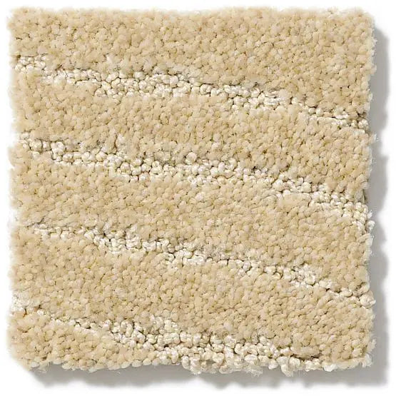 Pet Perfect - First In Class - Carpet Anderson Tuftex