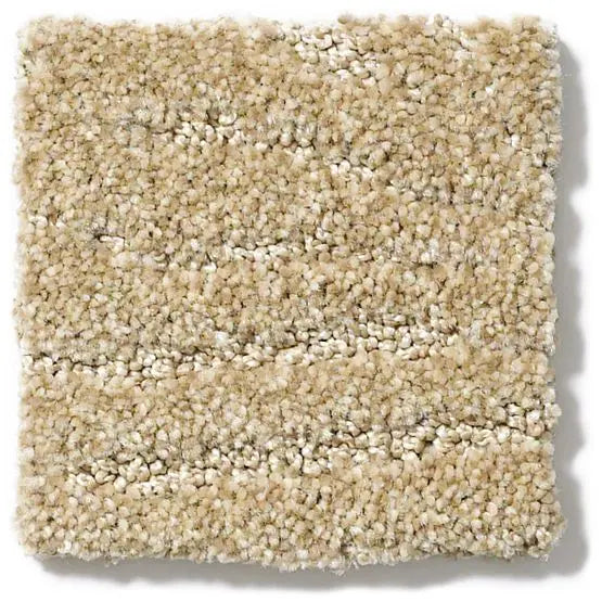 Pet Perfect - First In Class - Carpet Anderson Tuftex