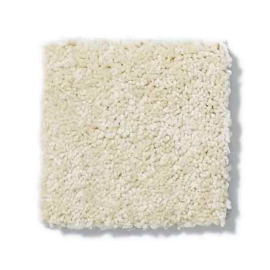 Pet Perfect - Cooper - Carpet Anderson Tuftex