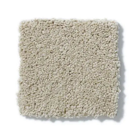 Pet Perfect - Cooper - Carpet Anderson Tuftex