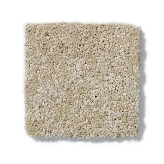 Pet Perfect - Cooper - Carpet Anderson Tuftex