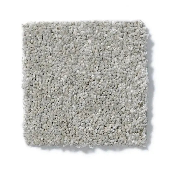 Pet Perfect - Cooper - Carpet Anderson Tuftex