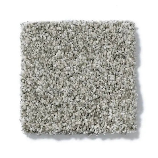 Pet Perfect - Cooper - Carpet Anderson Tuftex