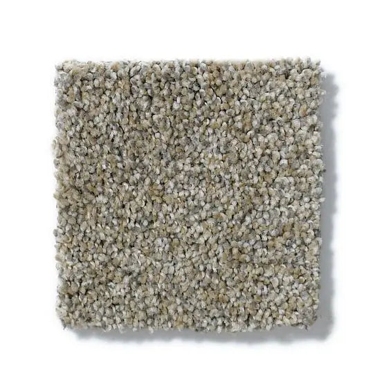 Pet Perfect - Cooper - Carpet Anderson Tuftex