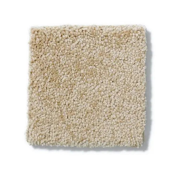 Pet Perfect - Cooper - Carpet Anderson Tuftex