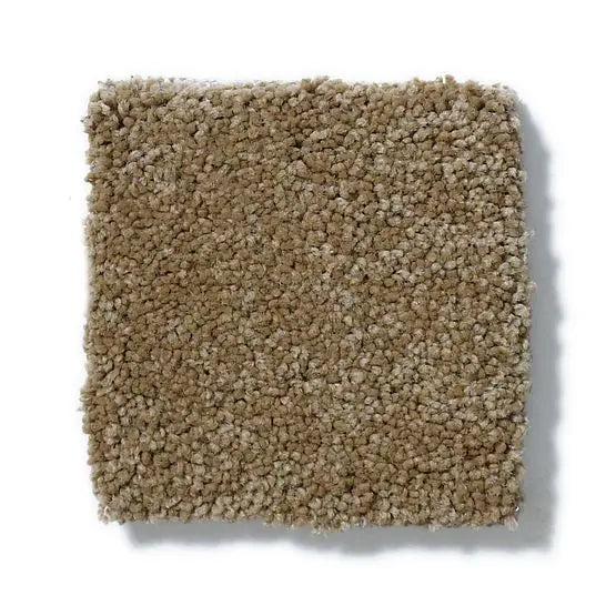 Pet Perfect - Cooper - Carpet Anderson Tuftex