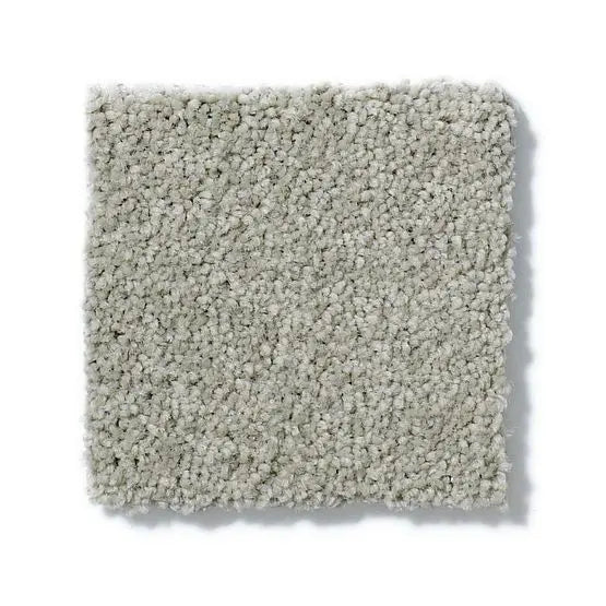 Pet Perfect - Cooper - Carpet Anderson Tuftex