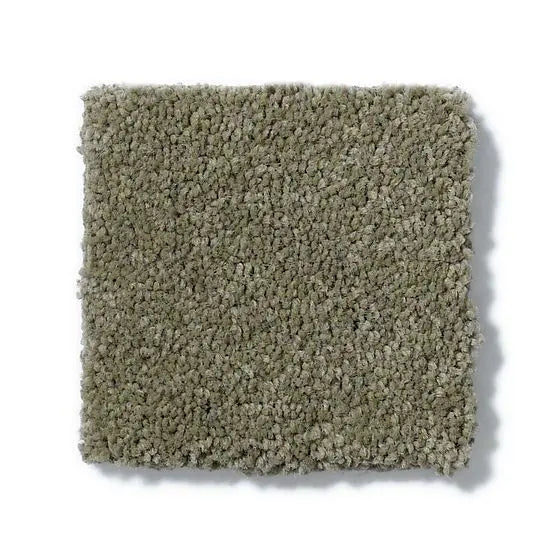 Pet Perfect - Cooper - Carpet Anderson Tuftex