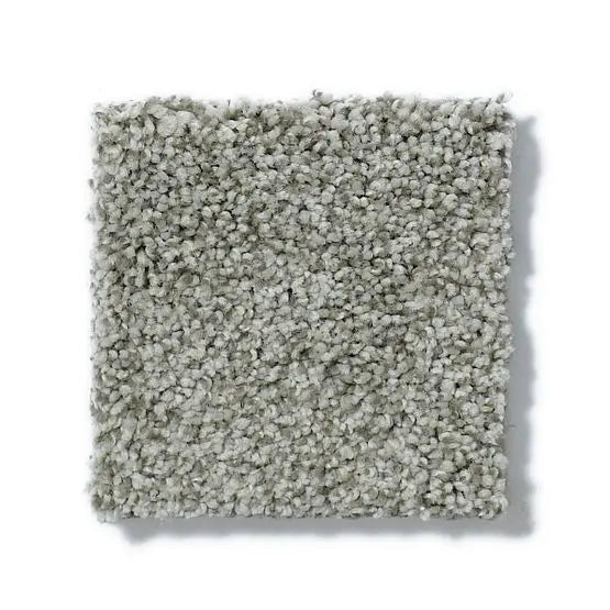 Pet Perfect - Cooper - Carpet Anderson Tuftex