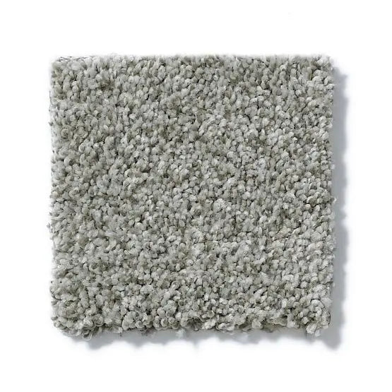 Pet Perfect - Cooper - Carpet Anderson Tuftex