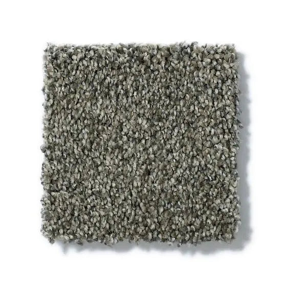 Pet Perfect - Cooper - Carpet Anderson Tuftex