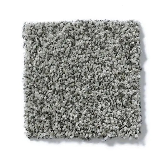 Pet Perfect - Cooper - Carpet Anderson Tuftex