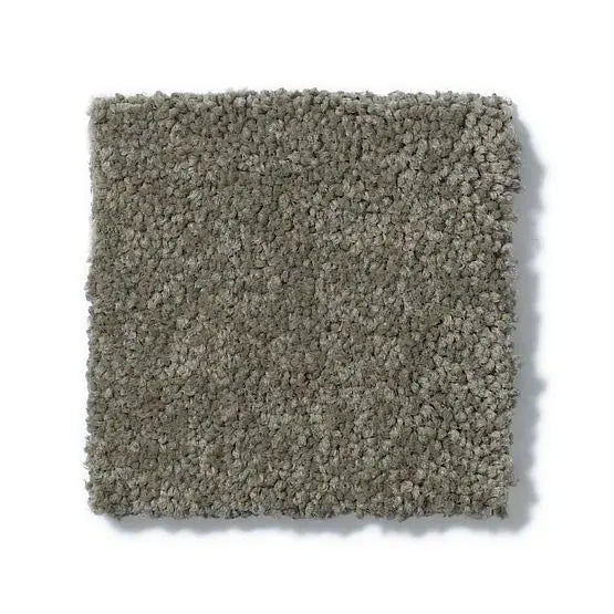 Pet Perfect - Cooper - Carpet Anderson Tuftex