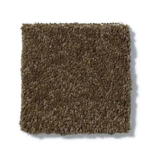 Pet Perfect - Cooper - Carpet Anderson Tuftex