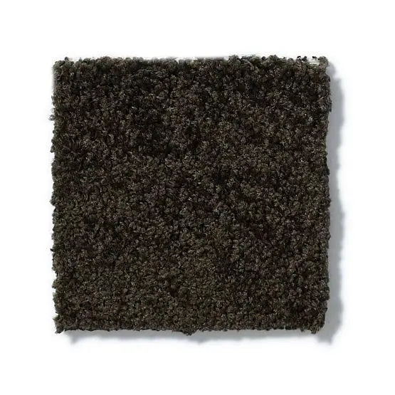 Pet Perfect - Cooper - Carpet Anderson Tuftex