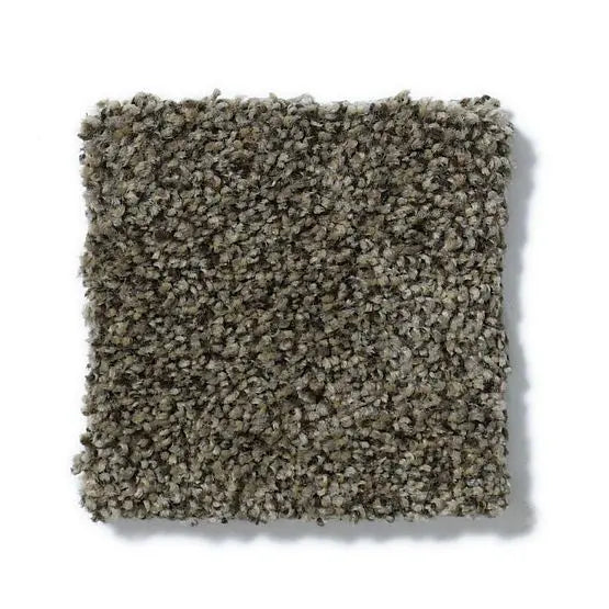 Pet Perfect - Cooper - Carpet Anderson Tuftex