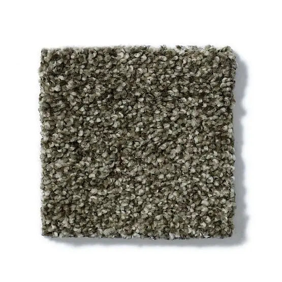 Pet Perfect - Cooper - Carpet Anderson Tuftex