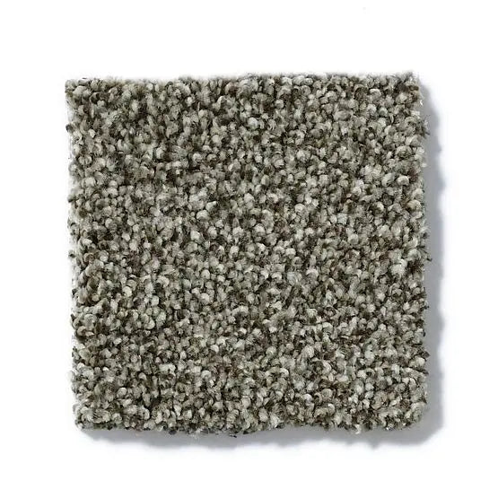 Pet Perfect - Cooper - Carpet Anderson Tuftex